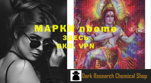прущие грибы Семикаракорск