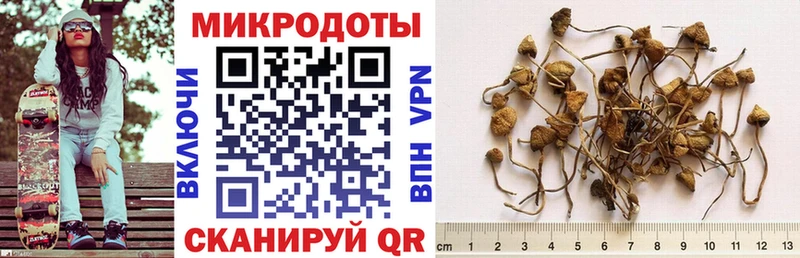 ОМГ ОМГ рабочий сайт  Елабуга  Псилоцибиновые грибы Cubensis 
